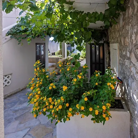 Apartment Neptun *