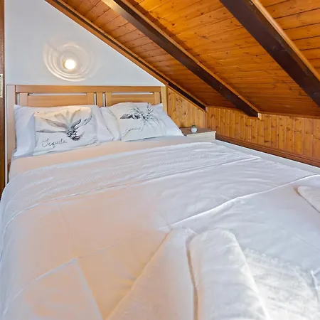 Apartment Neptun